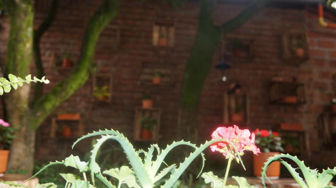 El Jardin De La 10 Hotel Medellín Kültér fotó