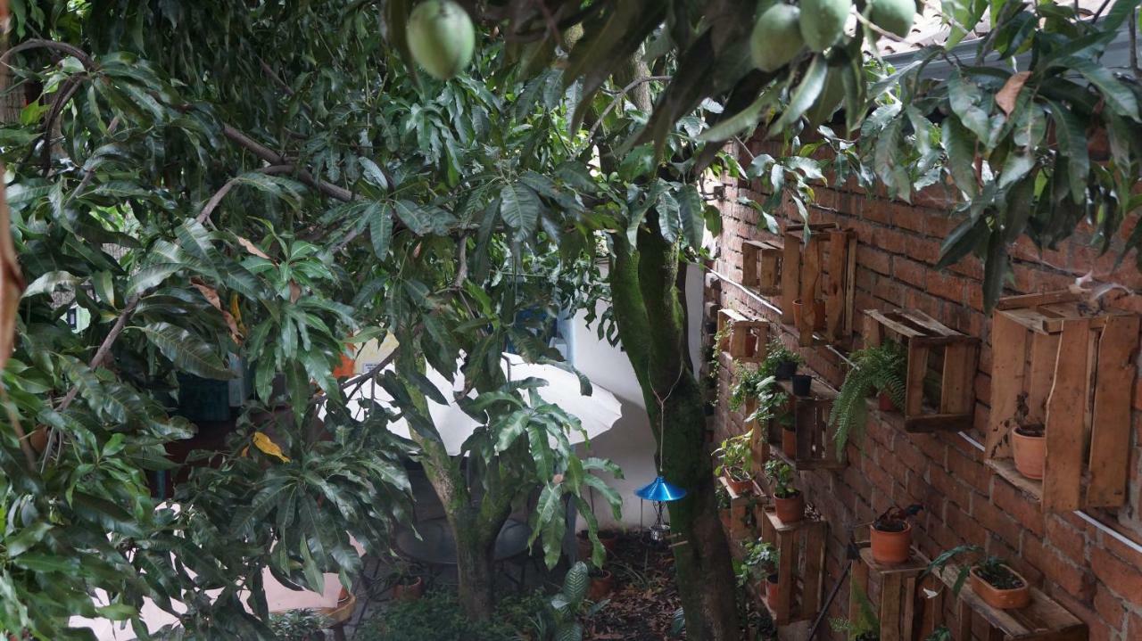 El Jardin De La 10 Hotel Medellín Kültér fotó